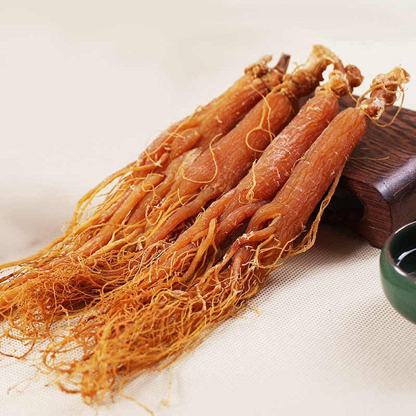 Ginseng rouge  الجينسنغ الأحمر
