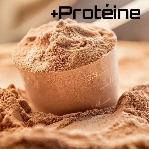 Farine Gofio protéine - دقيق جوفيو بروتين