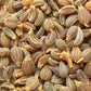 Graines de persil - بذور المعدنوس